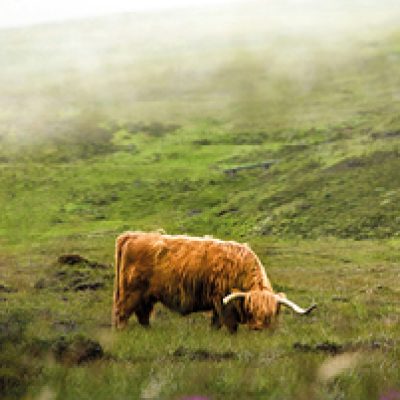 14-15-Beautiful-Britain-OpVakantie-voorjaar-2026-ED20_page_14_item_1