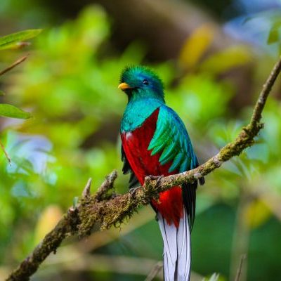 HorizonSelectCostaRica_Banner-rdvfzmru5b4kg2ahl0ll28e9bpeut5gwipxgcaflpc
