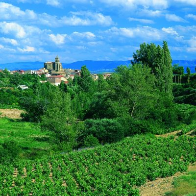Navaridas-Álava-Vista
