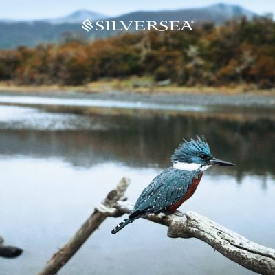 Silversea-The-Cormorant-at-55-South-in-Puerto-Williams-01