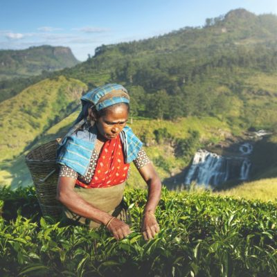 Sri-Lanka-Nuwara-Eliya-1-Groot