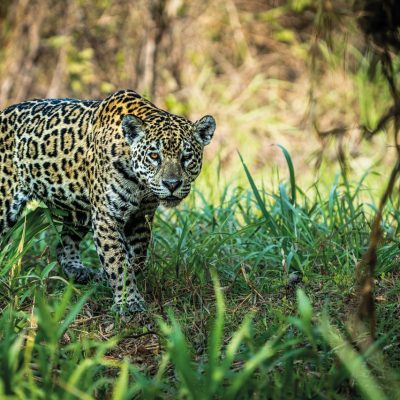 Sudamerica_Tours-OpVakantie-najaar-2026-ED21_page_41_item_8-groot