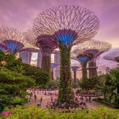 singapore8-Groot